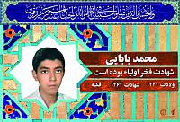 آلبوم اختصاصی شهید محمد بابایی . کد 0211322221 آ