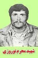 آلبوم اختصاصی تصاویر شهید محرم نوروزی . کد 1403121861 آ