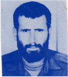 آلبوم اختصاصی تصاویر شهید سرمست نوروزیان . کد 1403289825 آ