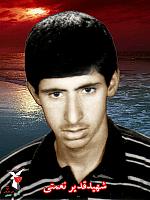 آلبوم اختصاصی تصاویر شهید قدیر نعمتی اشتیانی . کد 1403238559 آ