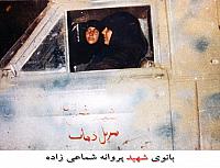 پروانه شماعی زاده (2)