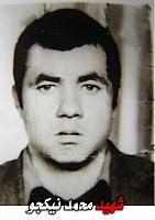 آلبوم اختصاصی تصاویر شهید محمد نیک جومجارشین . کد 1403305107 آ