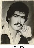 آلبوم اختصاصی تصاویر شهید یعقوب نعمتی . کد 1403218184 آ