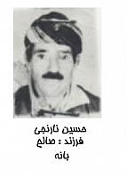 آلبوم اختصاصی تصاویر شهید حسین نارنجی . کد 1403326746 آ