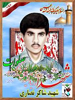 آلبوم اختصاصی تصاویر شهید شاکر نصاری . کد 1403325093 آ