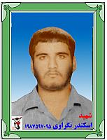 آلبوم اختصاصی تصاویر شهید اسکندر نگراوی . کد 1403251152 آ