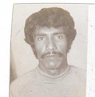 آلبوم اختصاصی تصاویر شهید عباس نیلاد . کد 1403239066 آ