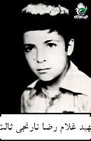 آلبوم اختصاصی تصاویر شهید غلام رضا نارنجی ثالث . کد 1403237973 آ