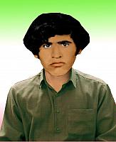 آلبوم اختصاصی تصاویر شهید سلمان نعیمی . کد 1403121764 آ