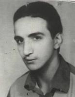 آلبوم اختصاصی تصاویر شهید احد نارنجچی شتربان . کد 1403237974 آ