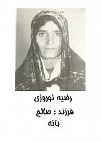 آلبوم اختصاصی تصاویر شهید رضیه نوروزی . کد 1403221887 آ