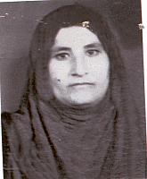 آلبوم اختصاصی تصاویر شهید تاجی ناصرپور . کد 1403237999 آ