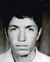 آلبوم اختصاصی تصاویر شهید رضا نوروزمجنی . کد 1403284194 آ