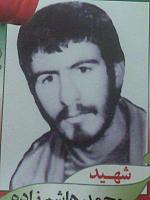 آلبوم اختصاصی تصاویر شهید محمد هاشم زاده . کد 1403218858 آ