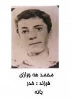 آلبوم اختصاصی تصاویر شهید محمد هورازی . کد 1403325251 آ