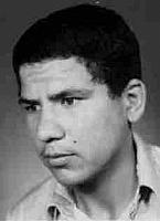 آلبوم اختصاصی تصاویر شهید محسن هادی . کد 1403266296 آ