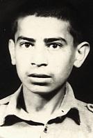 آلبوم اختصاصی تصاویر شهید مراد مرادزاده . کد 1403264232 آ