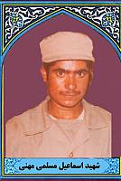 آلبوم اختصاصی تصاویر شهید اسماعیل مسلمی مهنی . کد 1403264431 آ