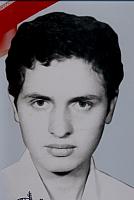 آلبوم اختصاصی تصاویر شهید مهرداد محبی شیرکدهی . کد 1403249917 آ