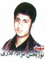 آلبوم اختصاصی تصاویر شهید نوربخش مرادکلاری . کد 1403264233 آ