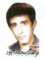 آلبوم اختصاصی تصاویر شهید فرهاد محمدپور . کد 1403235998 آ