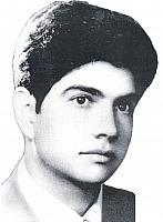 آلبوم اختصاصی تصاویر شهید اقاسیدجواد محقق . کد 1403214336 آ