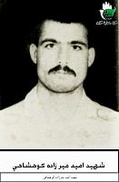 آلبوم اختصاصی تصاویر شهید امید میرزاده کوهشاهی . کد 1403326202 آ