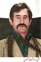 آلبوم اختصاصی تصاویر شهید زردشت محمودی . کد 1403236497 آ