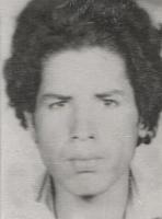 آلبوم اختصاصی تصاویر شهید محمد محی الدینی . کد 1403214995 آ