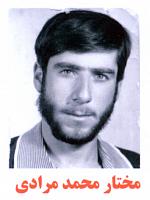 آلبوم اختصاصی تصاویر شهید مختار محمدمرادی . کد 1403264288 آ