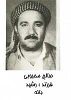 آلبوم اختصاصی تصاویر شهید صالح محبوبی . کد 1403284236 آ