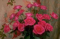 آلبوم اختصاصی تصاویر شهید الناز ملک پورقدیم . کد 1403303520 آ