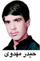 آلبوم اختصاصی تصاویر شهید حیدر مهدوی . کد 1403287616 آ