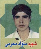 آلبوم اختصاصی تصاویر شهید سواد محرمی اتی کندی . کد 1403249934 آ