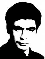 آلبوم اختصاصی تصاویر شهید خانعلی محمدی چیچکلوی منصور . کد 1403318509 آ