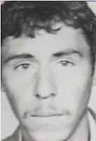 آلبوم اختصاصی تصاویر شهید عباس موالی . کد 1403287062 آ