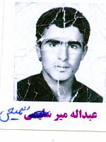 آلبوم اختصاصی تصاویر شهید عبداله میرسمیعی . کد 1403324496 آ