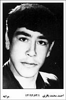 آلبوم اختصاصی تصاویر شهید احمد محمدباقری . کد 1403249961 آ