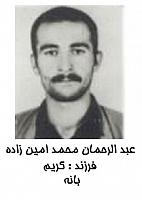 آلبوم اختصاصی تصاویر شهید عبدالرحمان محمدامین زاده . کد 1403324366 آ