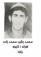 آلبوم اختصاصی تصاویر شهید محمدرشید محمدزاده . کد 1403250020 آ