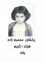 آلبوم اختصاصی تصاویر شهید پخشان محمودزاده . کد 1403249994 آ