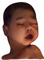 آلبوم اختصاصی تصاویر شهید مجتبی مومیوند . کد 1403287568 آ