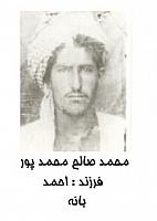 آلبوم اختصاصی تصاویر شهید محمدصالح محمدپور . کد 1403249979 آ