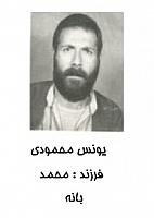 آلبوم اختصاصی تصاویر شهید یونس محمودی . کد 1403324403 آ