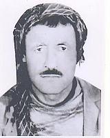 آلبوم اختصاصی تصاویر شهید نادر مینه ای . کد 1403237743 آ