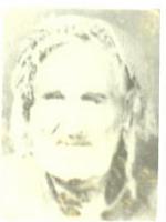 6533617