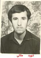 آلبوم اختصاصی تصاویر شهید محسن ملایی . کد 1403303503 آ