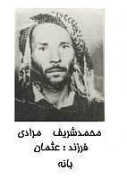 آلبوم اختصاصی تصاویر شهید محمدشریف مرادی . کد 1403236770 آ