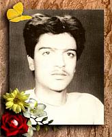 آلبوم اختصاصی تصاویر شهید محمود جزکلانتری . کد 1403296710 آ