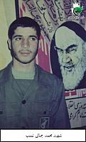 آلبوم اختصاصی تصاویر شهید محمد جمالی نسب . کد 1403225534 آ